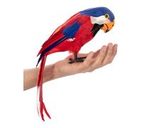 Funidelia | Loro pirata Animales, Aves, Pájaros - Decoración para fiestas de cumpleaños, fiestas de disfraces, Halloween y Carnaval