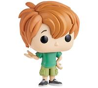 FUNKO POP ANIMACION Scooby DOO Shaggy 47538 Peludo Muñecos cabezones, sólido, Multicolor (FUNKO-47538)