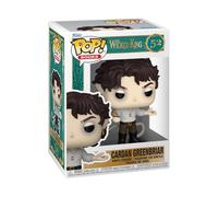 Funko Pop! Books: The Folk of The Air Series - The Wicked King - Cardan Greenbriar - Figura de Vinilo Coleccionable - Idea de Regalo - Mercancía Oficial - Juguetes para niños y Adultos