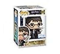 Funko pop! & buddy: harry potter - harry with hedwig- figura de vinilo