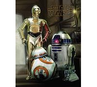 Funko Pop! - Lienzo 30X40 Droids, Star Wars (Xbox)