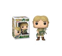 Funko Pop TV: Crocodile Hunter - Steve Irwin Vinyl Figure (Styles May Vary)