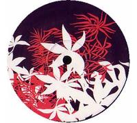 Funky Lowlives, the - Til I Left the Music [Vinilo]