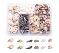Funngy Conchas Marinas Mixtas,100 PCS Conchas Marinas Conchas Marinas Mixtas de Playa Conchas Marinas Manualidades para Fiestas temáticas de Playa Manualidades Rellenos de jarrones Decoración del