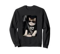 Funny 67 Cat Sunglasses Six Seven 6 7 Cat Meme Gen Alpha Sudadera