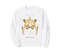 Funny Anatomía Hip Humana Ciencia Anatómica Educación Sudadera