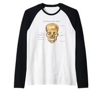 Funny Anatomy Head Bone Human Anatomical Science Educación Camiseta Manga Raglan
