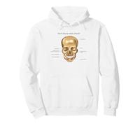 Funny Anatomy Head Bone Human Anatomical Science Educación Sudadera con Capucha