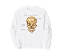 Funny Anatomy Head Bone Humano Anatomía Ciencia Educación Sudadera