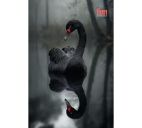 Funny Animals - Black Swan: Motivational and inspirational notebook for animal lovers with positive affirmations; a fun gift for friends, co-workers, bosses and employees