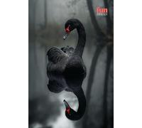 Funny Animals - Black Swan: Motivational and inspirational notebook for animal lovers with positive affirmations; a fun gift for friends, co-workers, bosses and employees