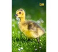 Funny Animals - Duck: Motivational and inspirational notebook for animal lovers with positive affirmations; a fun gift for friends, co-workers, bosses and employees