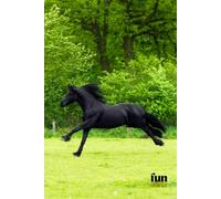 Funny Animals - Hors: Motivational and inspirational notebook for animal lovers with positive affirmations; a fun gift for friends, co-workers, bosses and employees