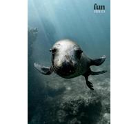 Funny Animals - Seal: Motivational and inspirational notebook for animal lovers with positive affirmations; a fun gift for friends, co-workers, bosses and employees