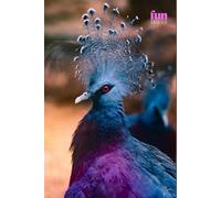 Funny Animals - Victoria crowned pigeon: Motivational and inspirational notebook for animal lovers with positive affirmations; a fun gift for friends, co-workers, bosses and employees