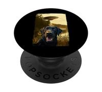Funny Black Labrador UFO Encounter Labrador Dog Aliens PopSockets PopGrip Adhesivo