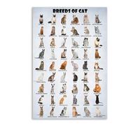 Funny Cat Lovers Poster - Breeds of Cats from Around the World, Colorful Educational Chart, Wall Decor for Bedroom, Office, Classroom Aesthetic(Framed,12x18inch(30x45cm))