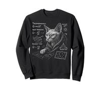 Funny Cat Math Physics Equations Science Humor Sudadera