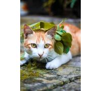 Funny Cat, Notebook: Your Mind on Paper. Probably Brilliant Stuff Inside