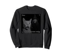 Funny Cat On Security Camera with Witch Halloween Sudadera