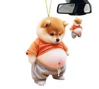 Funny Cat Ornament - Cute 2D Flat Acrylic Hanging Interior Pendant