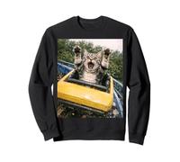 Funny Cat Roller Coaster Silly Meme American Shorthair Sudadera