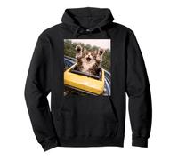Funny Cat Roller Coaster Silly Meme Domestic Longhair Sudadera con Capucha