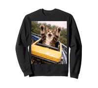 Funny Cat Roller Coaster Silly Meme Domestic Shorthair Sudadera