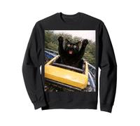 Funny Cat Roller Coaster Silly Meme Graphic Bombay Black Cat Sudadera