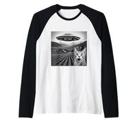 Funny Cat Selfie UFO UAP Aliens Extraterrestre Visitación Camiseta Manga Raglan