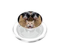 Funny Cat Selfie with Pigs Design - Cute Animal Pig Lovers PopSockets PopGrip para MagSafe