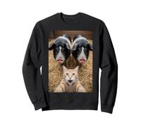 Funny Cat Selfie with Pigs Design - Cute Animal Pig Lovers Sudadera