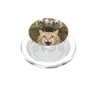 Funny Cat Selfie with Sheep Cute Farm Animal Kids & Adults PopSockets PopGrip para MagSafe
