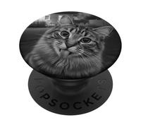 Funny Cat Sticks out Tongue On Security Camera PopSockets PopGrip Adhesivo