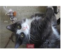 Funny Cats 2026 S 24x35cm