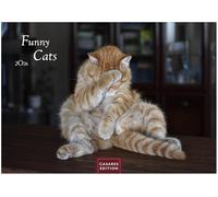 Funny Cats Kalender 2026 35x50cm - Witziger Katzenkalender