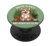 Funny Corgi Quizás Las Plantas Son adictas a mí Perro PopSockets PopGrip Adhesivo