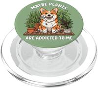 Funny Corgi Quizás Las Plantas Son adictas a mí Perro PopSockets PopGrip para MagSafe