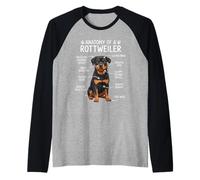Funny Dog Owner Anatomy of A Rottweiler Camiseta Manga Raglan
