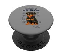Funny Dog Owner Anatomy of A Rottweiler PopSockets PopGrip Adhesivo