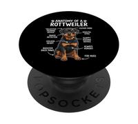 Funny Dog Owner Anatomy of A Rottweiler PopSockets PopGrip Adhesivo