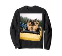 Funny Dog Roller Coaster Meme Silly Graphic German Shepherd Sudadera