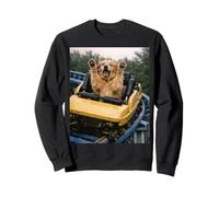 Funny Dog Roller Coaster Meme Silly Graphic Golden Retriever Sudadera