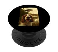 Funny English Springer Spaniel Dog UFO Encounter Aliens PopSockets PopGrip Adhesivo
