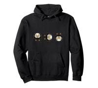 Funny Flipping The Bird USA Patriotic Eagle America FAFO MF Sudadera con Capucha
