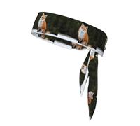 Funny Fox Printing - Diadema unisex con estampado de zorro, banda deportiva para baloncesto, correr, tenis