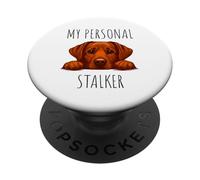 Funny Fox Red Labrador Dog Owner PopSockets PopGrip Adhesivo