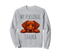 Funny Fox Red Labrador Dog Owner Sudadera