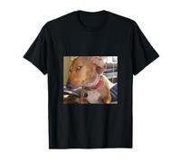 Funny Gen Z Brain Rot Dog Meme Fun Memes Social Media Camiseta