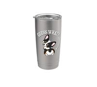 Funny Girl Kawaii Guess What Butt Black Tricolor Corgi Lover Vaso térmico de acero inoxidable de doble pared